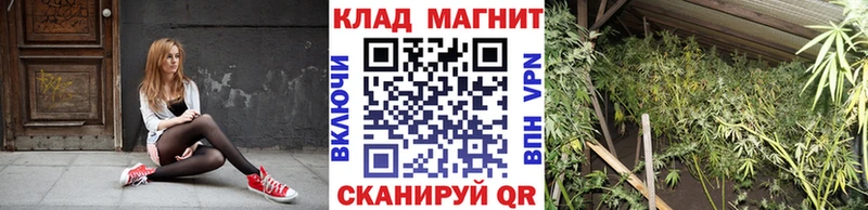 Как найти наркотики Домодедово Канабис  Метамфетамин  ГАШ  Меф мяу мяу  COCAIN  АМФЕТАМИН 