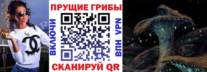 наркота  Домодедово  Псилоцибиновые грибы мухоморы 